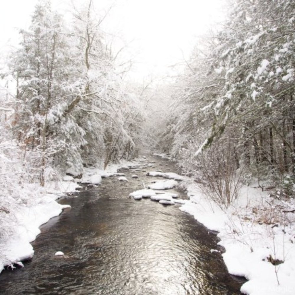 Meet your Posher, Suzy